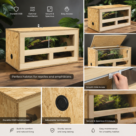 Terrarium OSB 60 × 30 × 30 cm