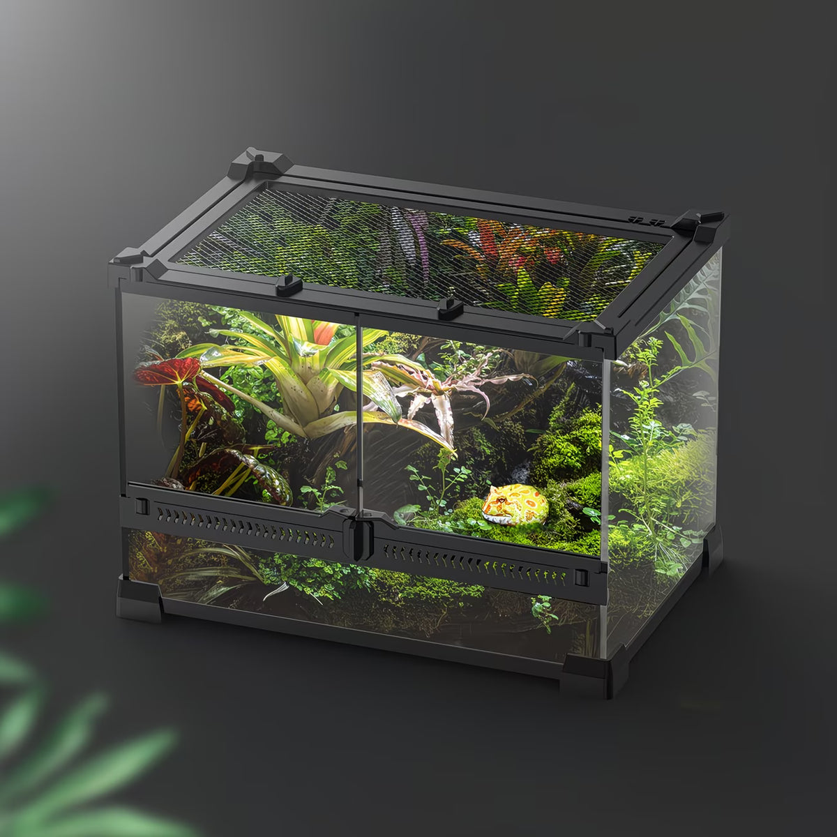 Terrarium Reptiles 30x20x20cm — Double Door & Watertight Bottom