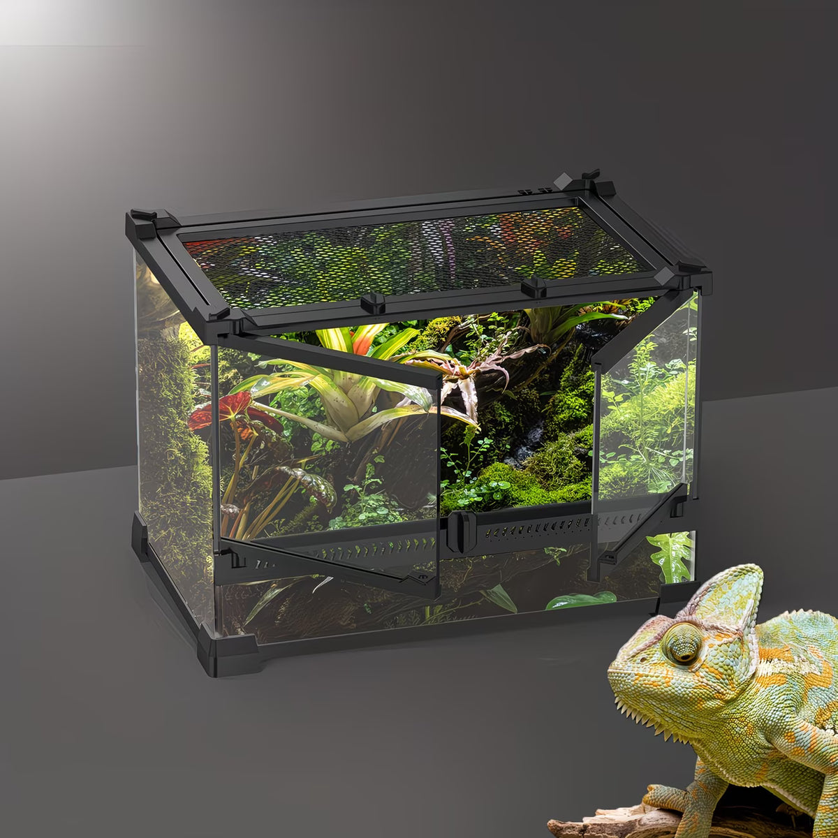 Terrarium Reptiles 30x20x20cm — Double Door & Watertight Bottom