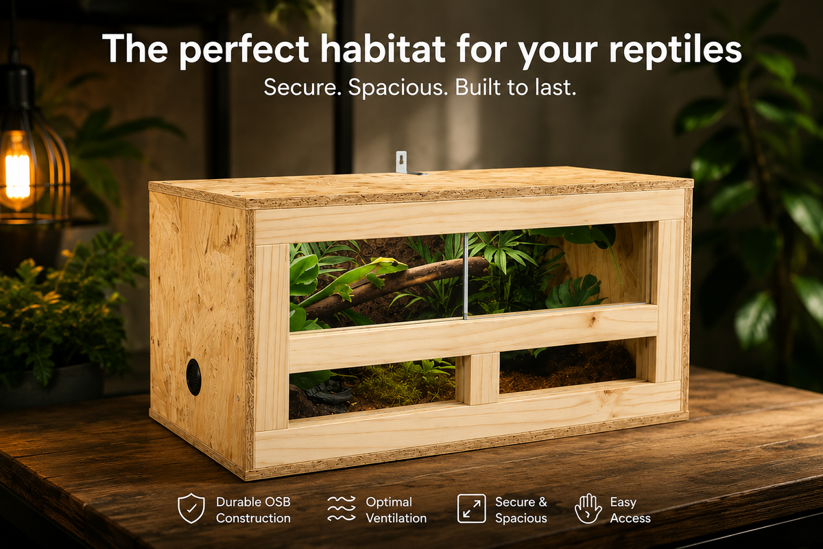 Terrarium OSB 60 × 30 × 30 cm