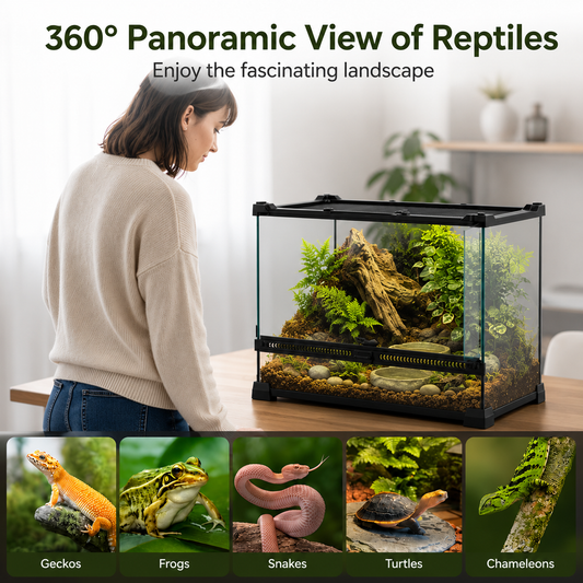 Premium Glass Terrarium for Reptiles & Amphibians