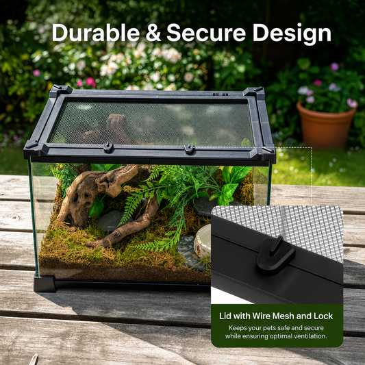 Premium Glass Terrarium for Reptiles & Amphibians