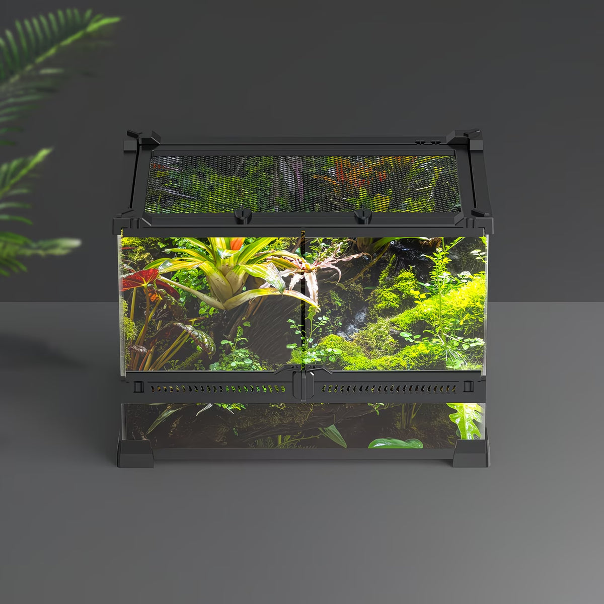 Terrarium Reptiles 30x20x20cm — Double Door & Watertight Bottom
