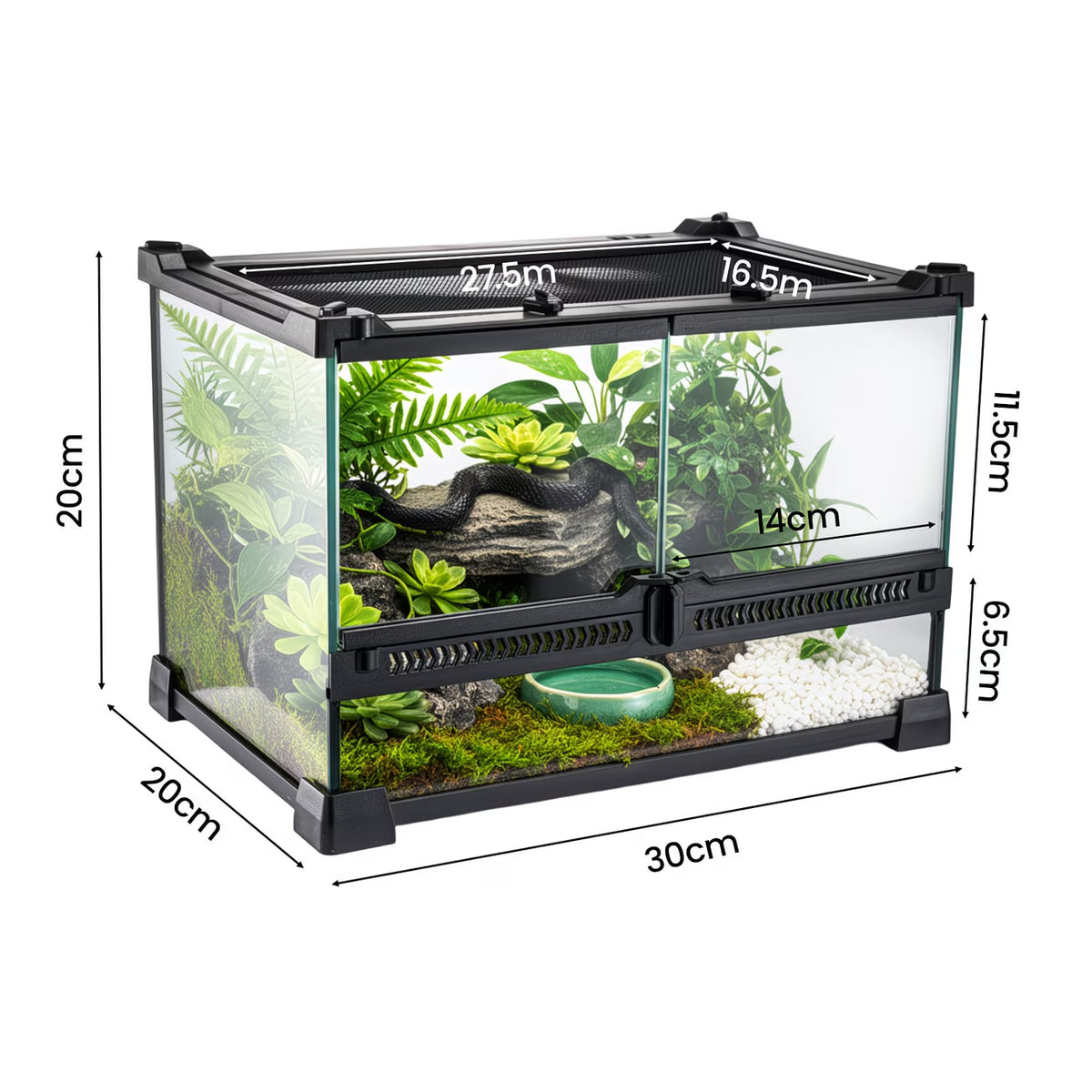 Premium Glass Terrarium for Reptiles & Amphibians